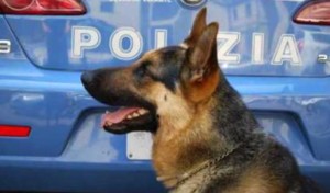 cane-poliziotto-550